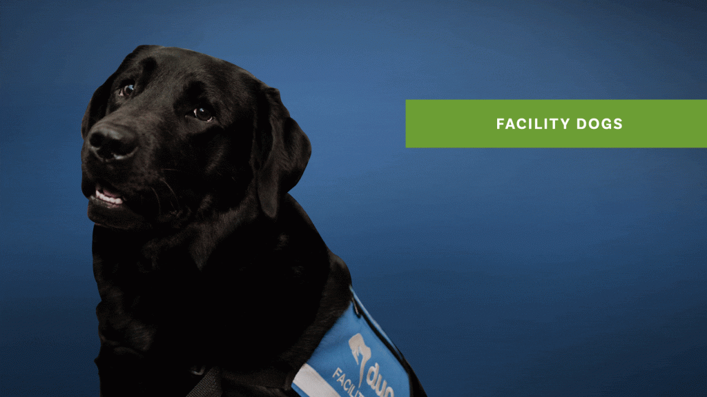 Facility Dogs