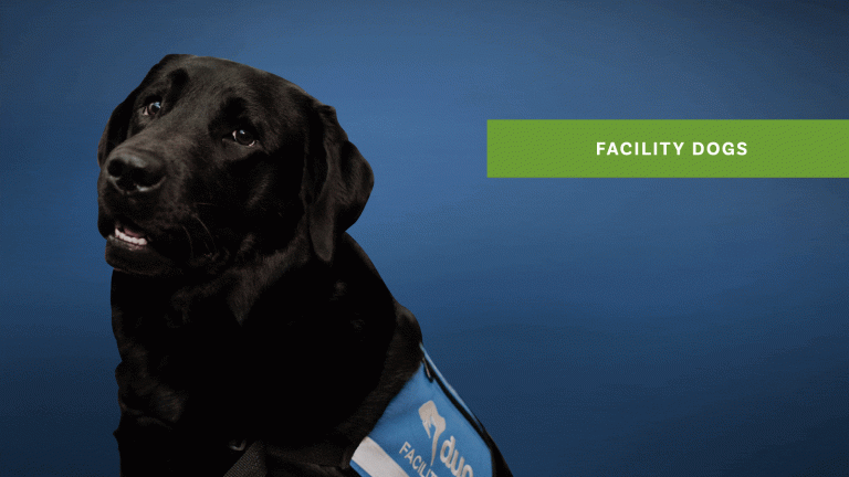 Facility Dogs